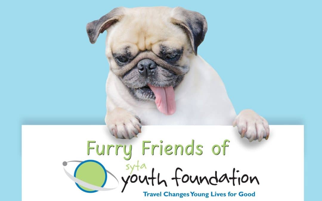 Furry Friends Calendar Fundraiser